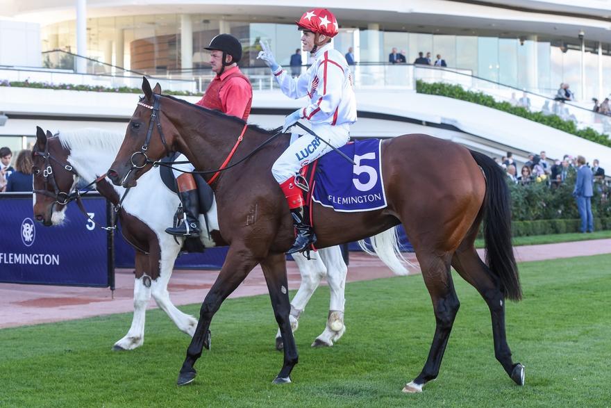 Chaillot - Flemington .JPG