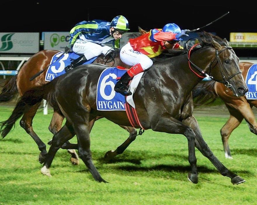 Akkadian - Pakenham.JPG