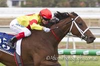 Music Bay wins Queen Of The South