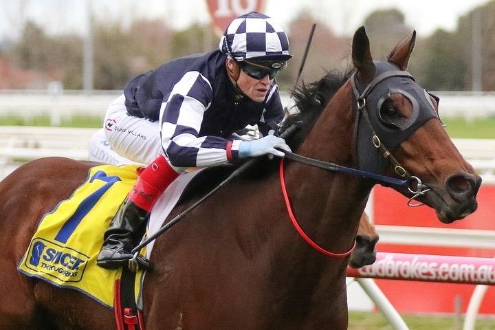 Order Of Command.JPG