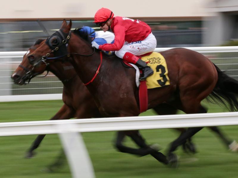 Caulfield_Iconoclasm_4-3_16176790_1940337_20190427170436be45d1c1-8c29-4ea0-89be-7268a70dddb8.jpg_sd_