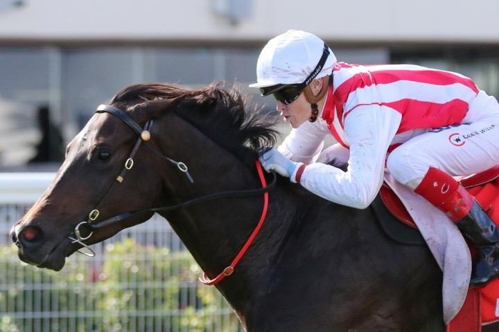 Zoutori Caulfield.JPG