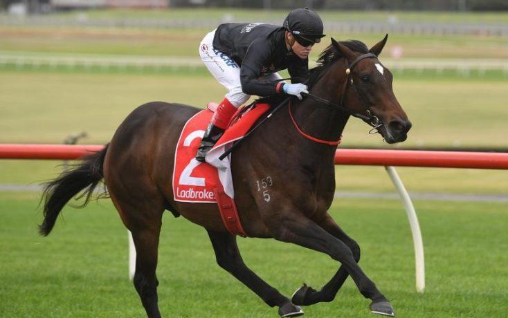 Asgard Massif_4-3_16246181_1942515_20190508140552492ded58-e30f-4d99-b686-746ed91ac535.jpg_sd_800x600