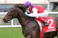King Of Hastings impresses at Caulfield