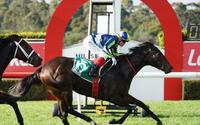 Excused delivered what Hayes expected in Wednesday's Yulong Handicap