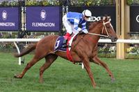 Gytrash far too good in Creswick Stakes