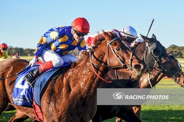 Search Squad Sandown July.JPG