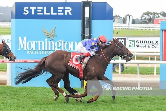 Search Squad Mornington.JPG