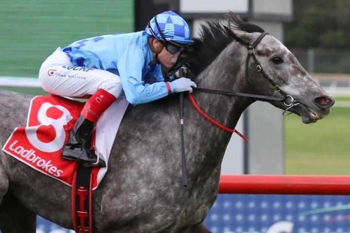 Shrouded in Mist .JPG