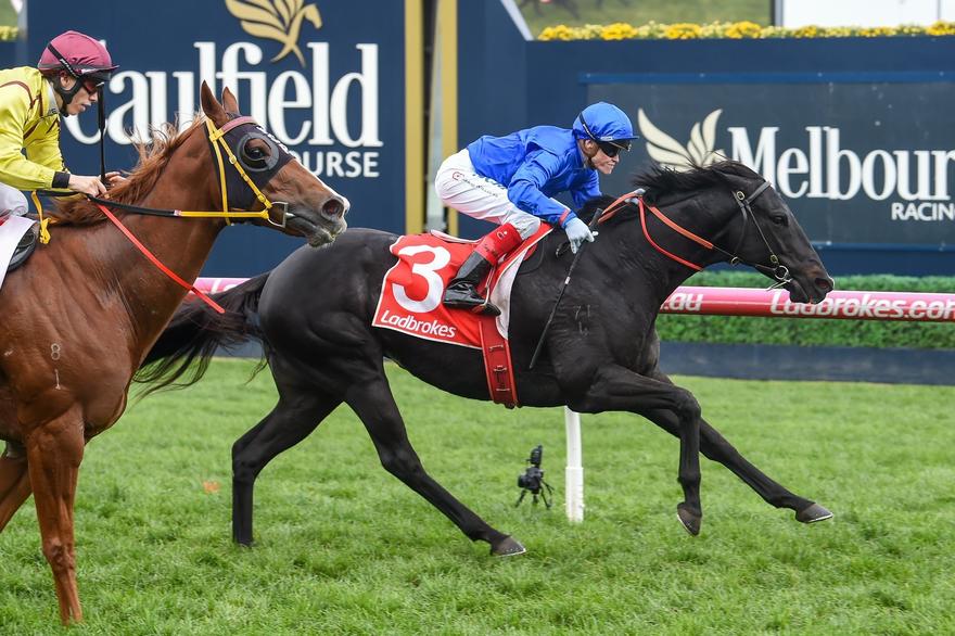 Bandipur - Caulfield.JPG