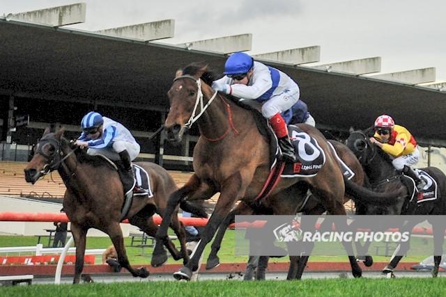 Paint The Town Two.JPG