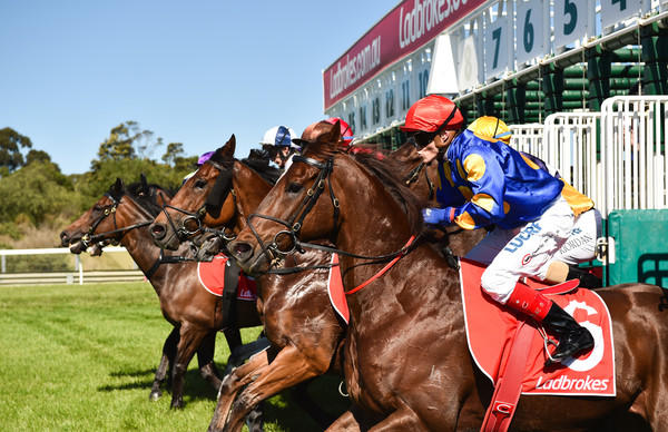 Craig+Williams+Search+Squad+Melbourne+Racing+X8kl0gvrH9Rl.jpg