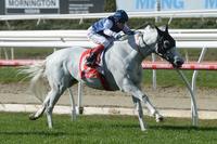 Improving veteran wins Ansett Classic