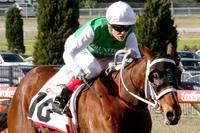 The Inevitable proved his class racing to a commanding win in the Listed Bendigo