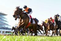 Rox The Castle takes step to stakes grade