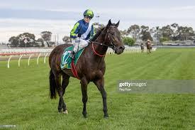 Cielo D'oro - Geelong.jpeg