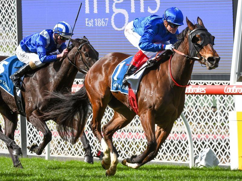 Exhilarates_4-3_17081071_1966051_201909071509482acf6afa-787b-4737-86ef-a71577905c9a.jpg_sd_800x600.j