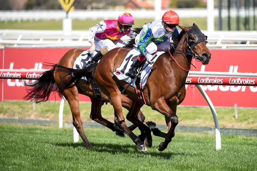 Fabrix Caulfield.JPG