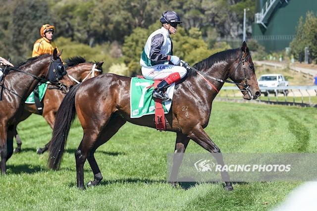 Surreal Step_5615.JPG