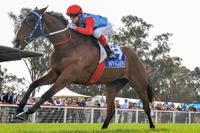 Flemington Group Ones on radar for Seymour Cup winner