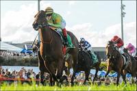 Dr Drill wins Cranbourne Cup