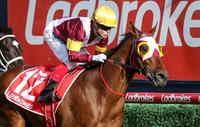 Fierce Impact wins Group 1 Toorak Handicap 