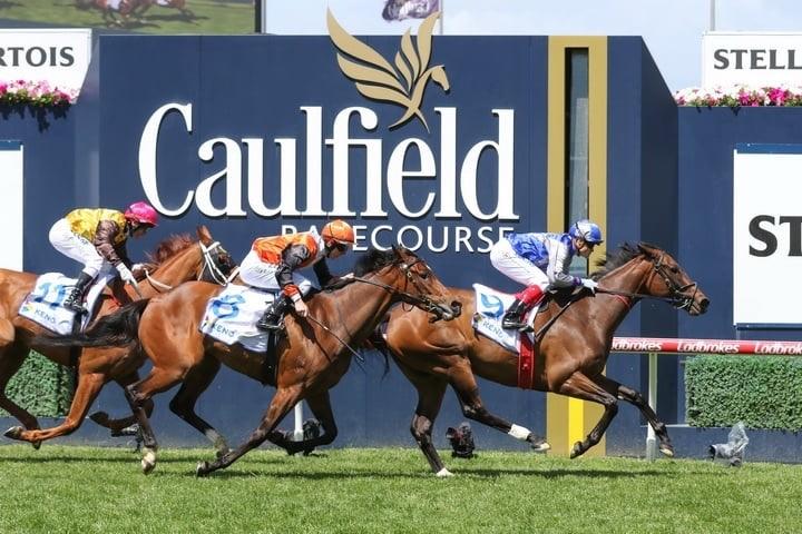 Extreme Pride Caulfield.JPG