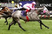 Williams wins country final at Flemington