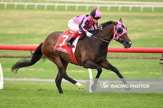 Minyinga - Sandown.JPG