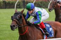 Fabric scores front-running Flemington win