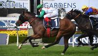 Castelvecchio's Rosehill Guineas