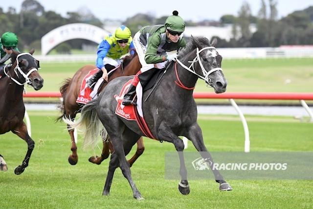 Kentucky Tornado - Sandown..JPG