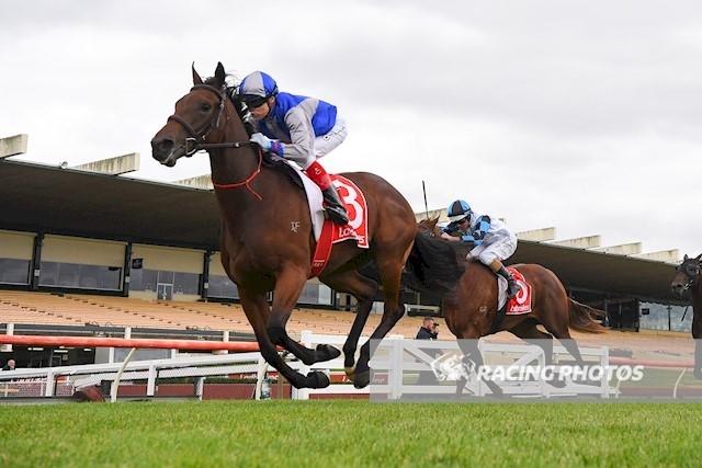 D'arbanville - Sandown .JPG