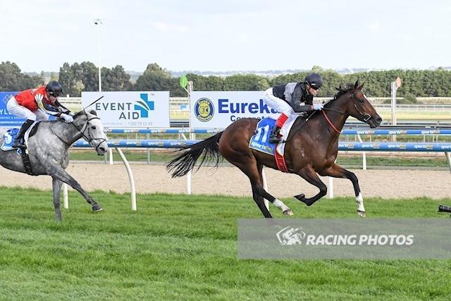 Our Guardian Angel.JPG