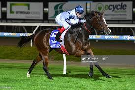 November Dreaming .jpeg