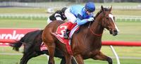 Bartholomeu Dias breaks through at Sandown