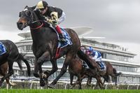 Lord Von Costa comes full circle in All Victorian Sprint final