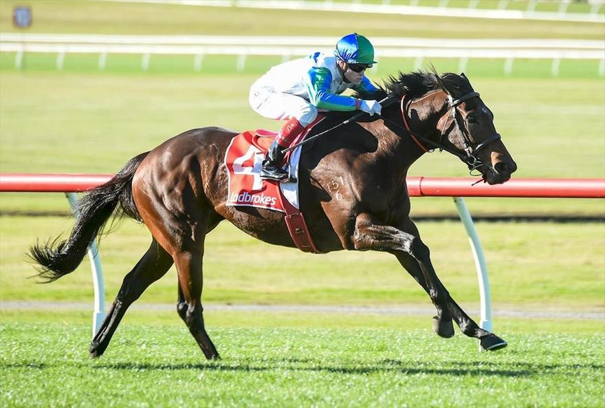 Grand De Flora - Sandown BM78 Win 010720.jpeg