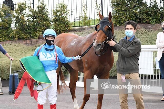 Kuzco Lad Geelong 18th Sept.JPG