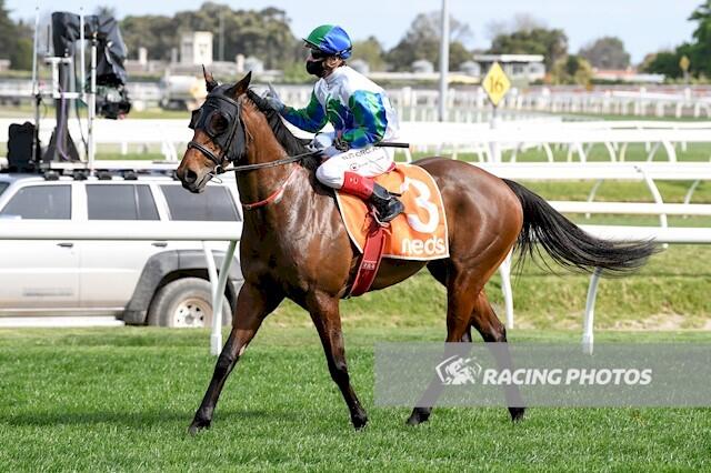 Fabric 19th Sept.JPG