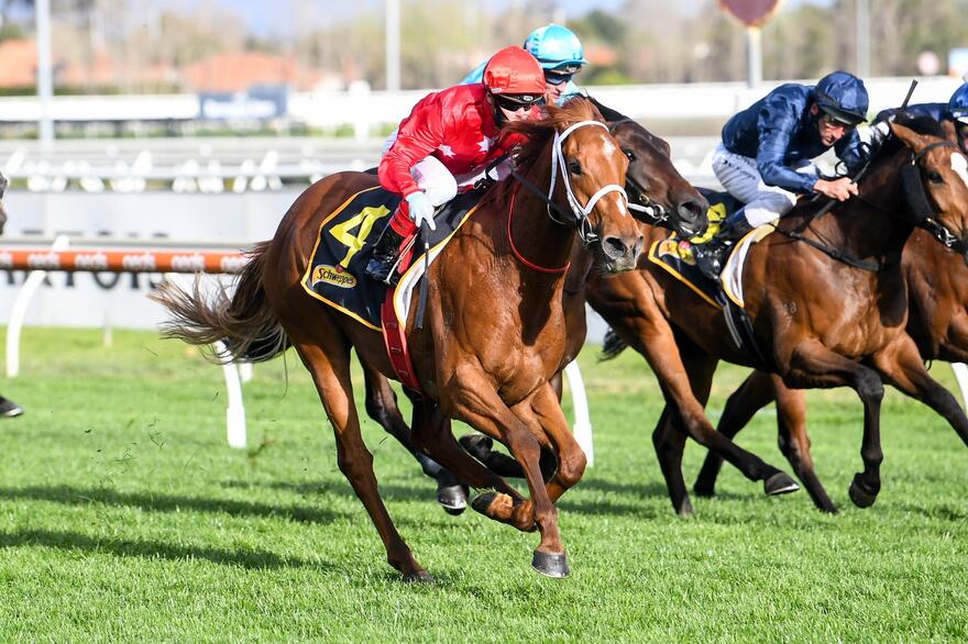 Instant Celebrity - Caulfield .JPG