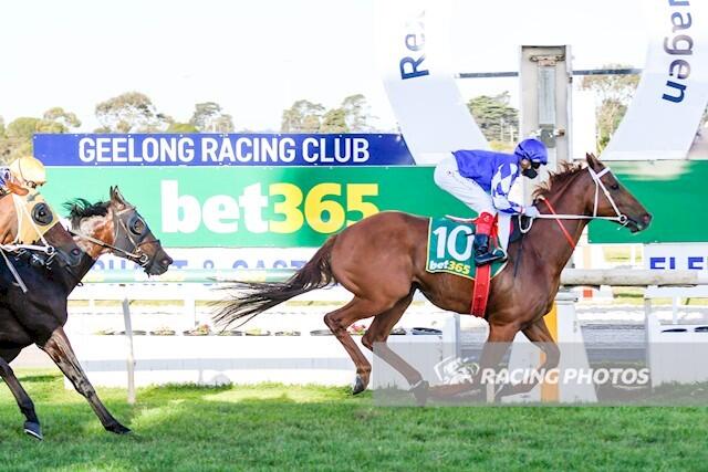 Simply Optimistic JPG.JPG