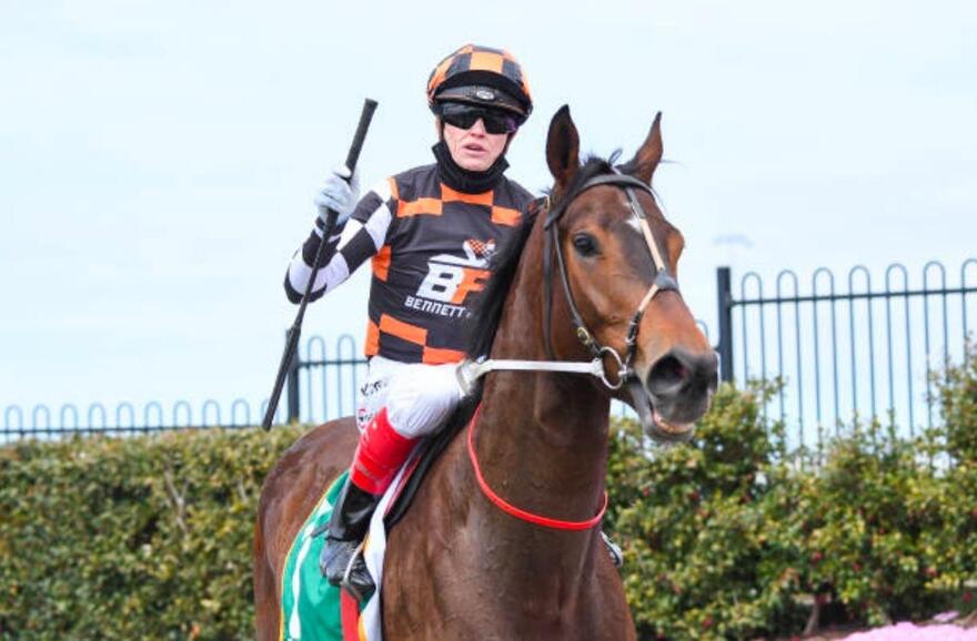 The Astrologist - Geelong.JPG