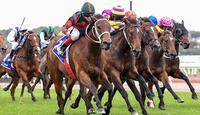 September Run's Coolmore Stud Stakes