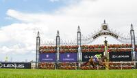 Tralee Rose easily wins Bagot