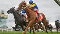 Oakleigh Plate talk for All Banter