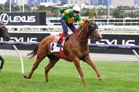 Metro jockeys snare Rapid Racing series