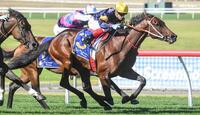 Pale King remains unbeaten