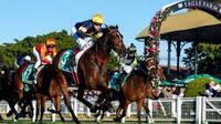 Tofane wins Stradbroke Handicap