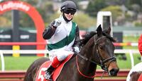 Sandy Prince salutes again